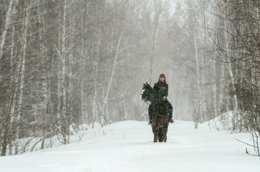 Pferdehaltung im Winter - 3 einfache Tipps