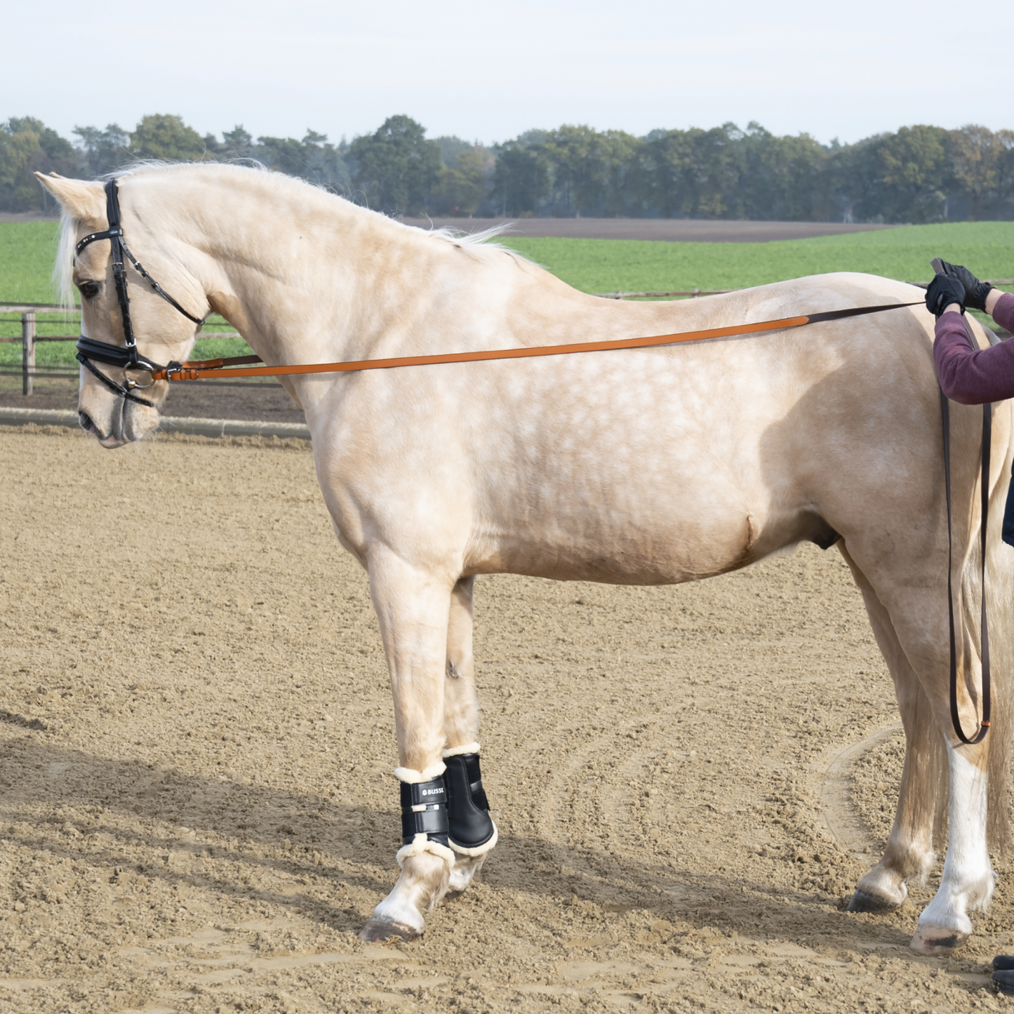 Busse LANGZÜGEL SOFT