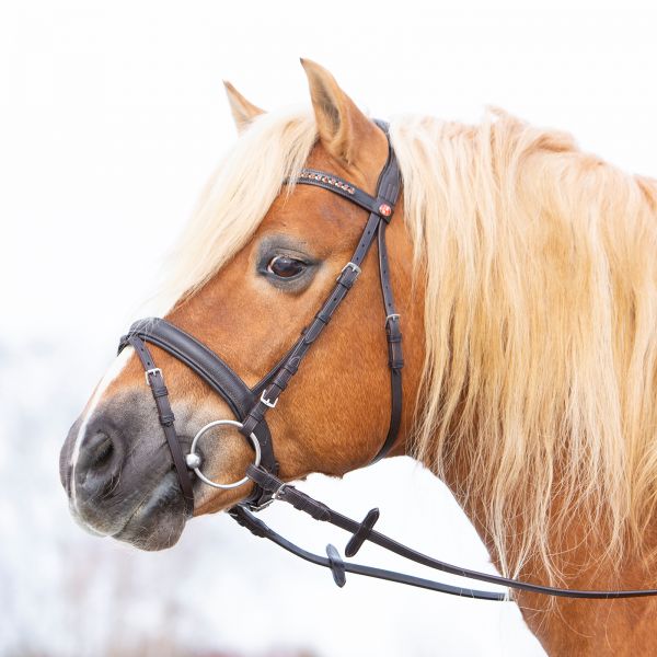 Kieffer Trensenzaum Ultrasoft Haflinger