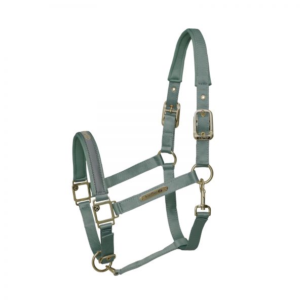 Kieffer Stallhalfter Satin Shine