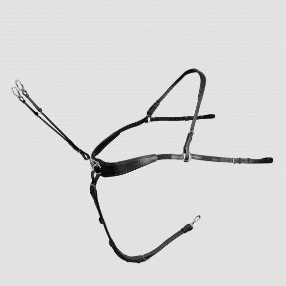 Passier Boundless Vorderzeug powered by Julia Krajewski