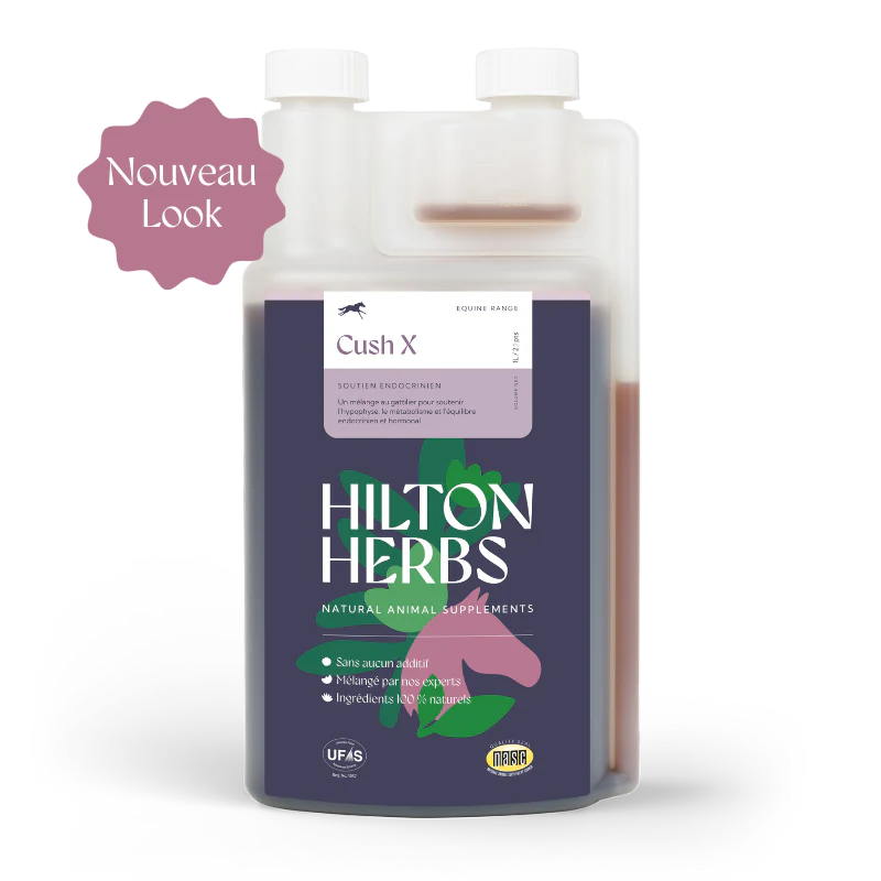 Hilton Herbs Cush X Gold - Kräuter flüssig bei Stoffwechselerkrankungen wie Cushing & EMS