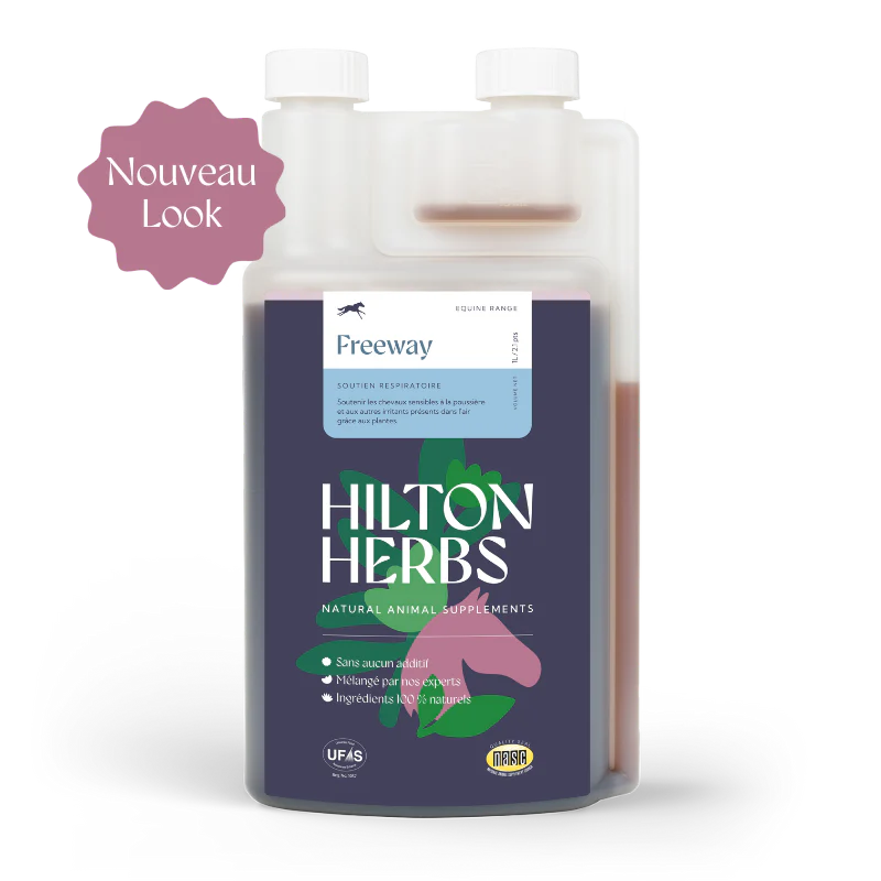 Hilton Herbs Freeway Gold- flüssige Kräuter für freie Atemwege & Lungenfunktion