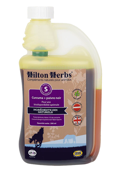 Hilton Herbs - Kurkuma & schwarzer Pfeffer für Verdauung & Gelenke
