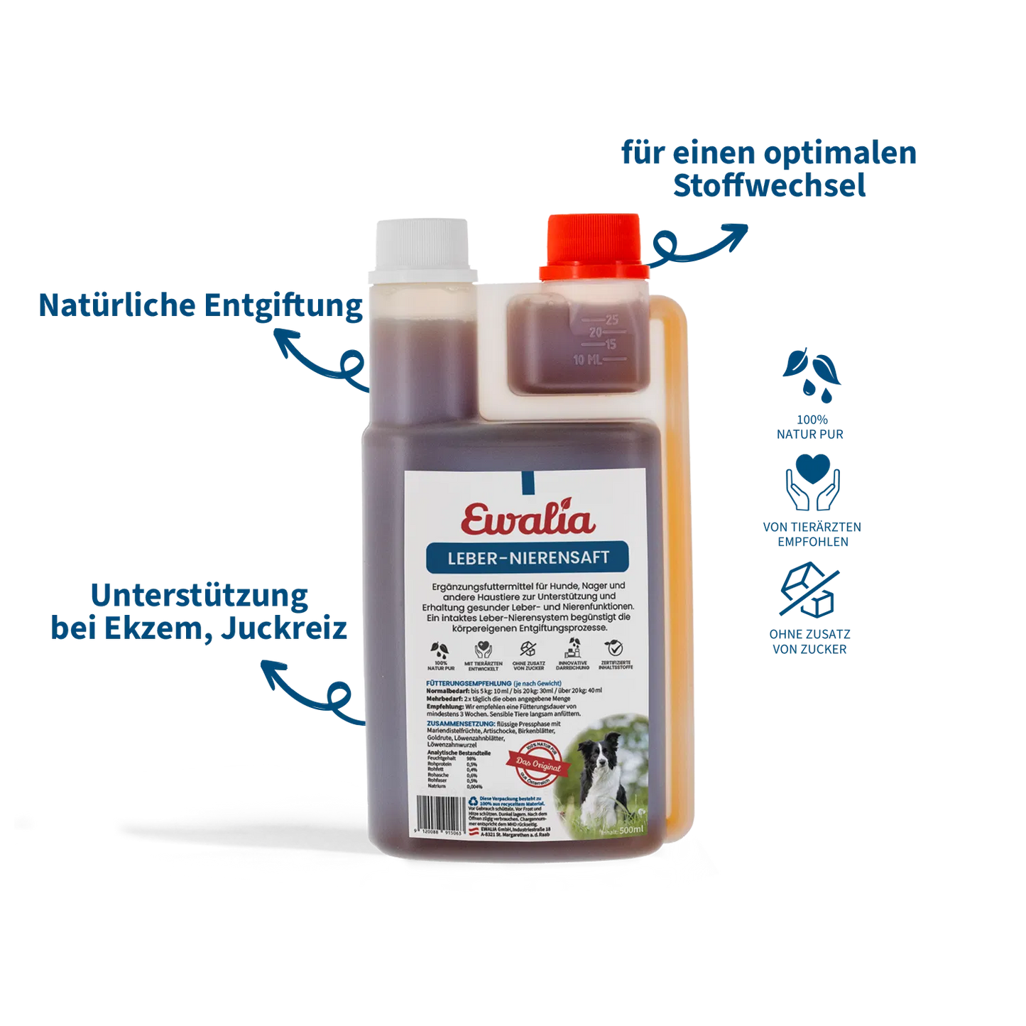 EWALIA Leber-Nierensaft für Hunde 500ml