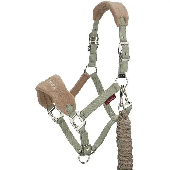 Arcs à poulies chasse et kits - Netshop Archery Arcs à poulies chasse et kits - Netshop Archery