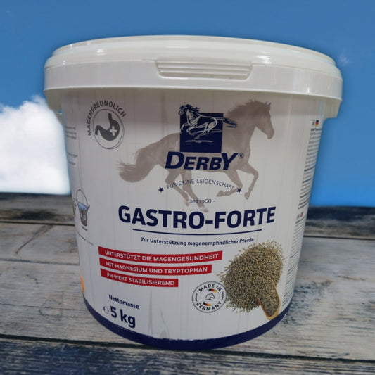 DERBY Gastro Forte - 5kg Eimer