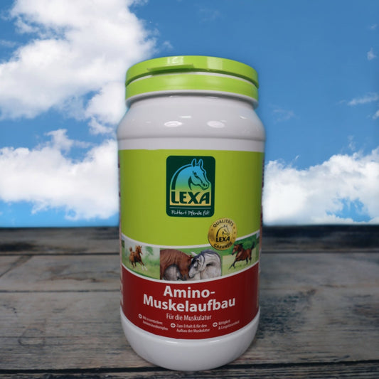 Lexa - Amino Muskelaufbau - Aminosäuren-Komplex für die Muskulatur