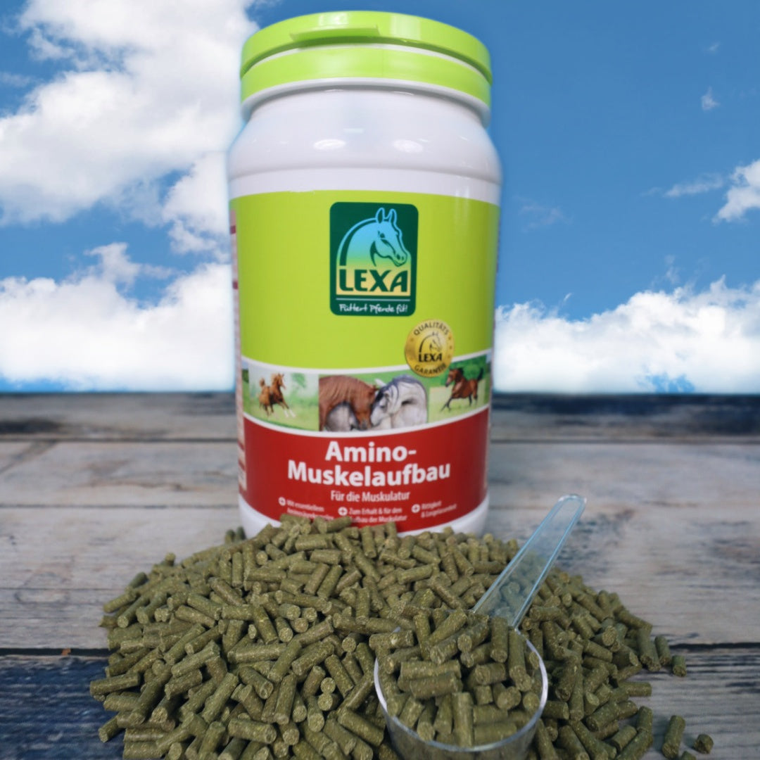 Lexa - Amino Muskelaufbau - Aminosäuren-Komplex für die Muskulatur