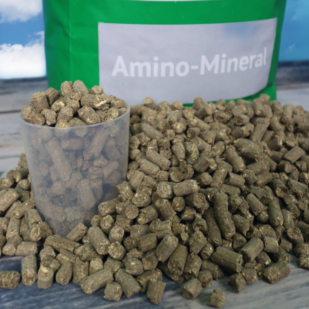 Lexa - Amino Mineral - Hochwertiges Mineralfutter für eine optimale Versorgung