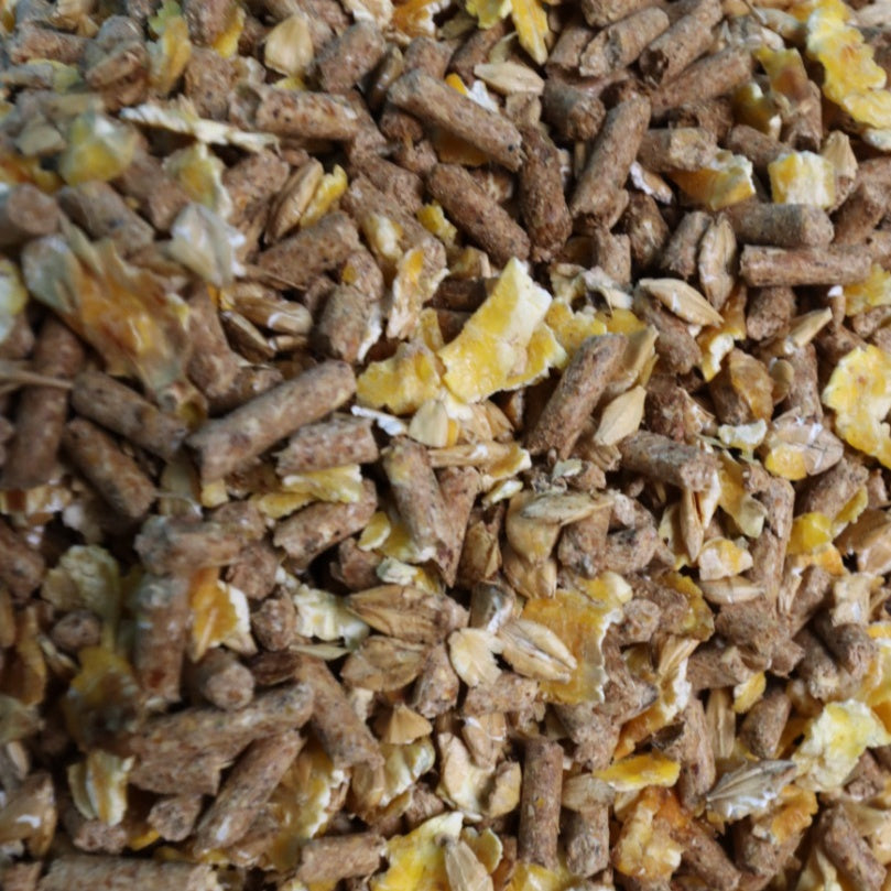 Marstall Freizeit - Das eiweißarme Freizeit-Müsli