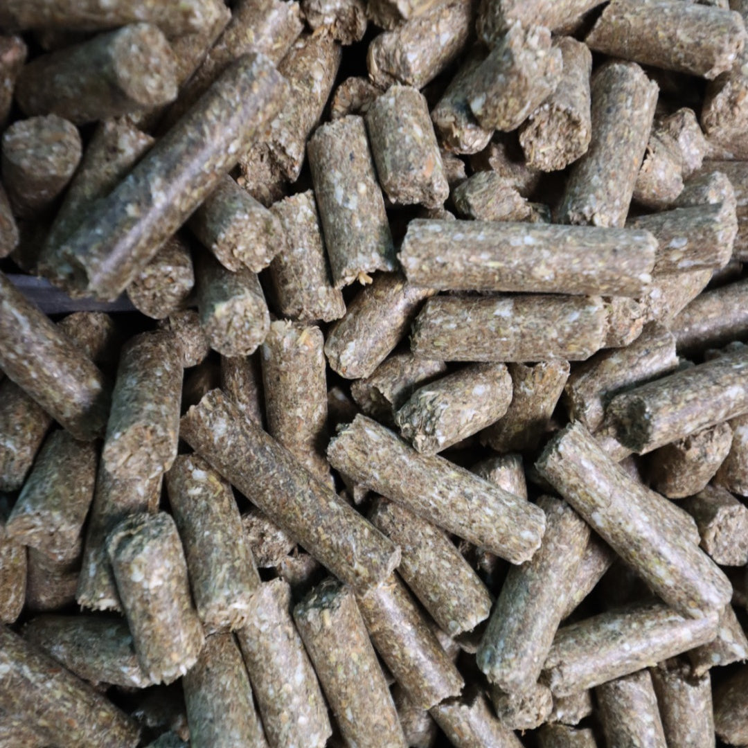Pavo PodoLac Pellets - Pellets für tragende und laktierende Stuten