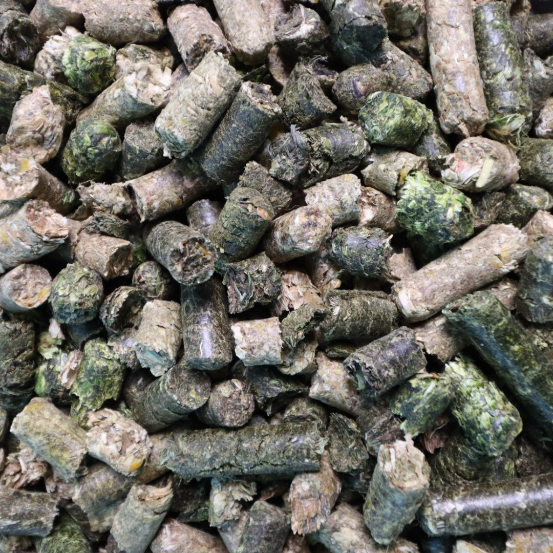 Agrobs Kraftpaket - Die Kraft der Pflanzen für Energie und Leistung