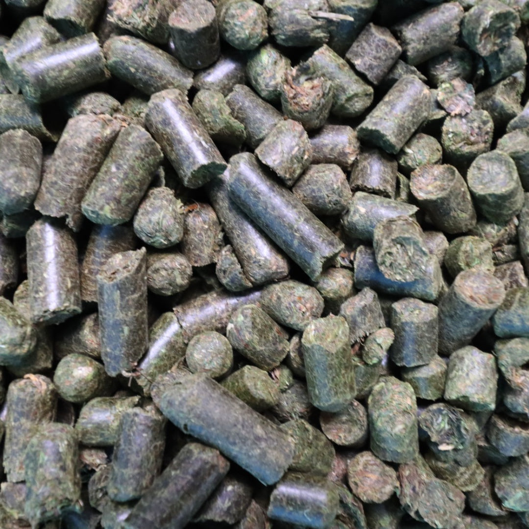 St. Hippolyt Glyx Wiese Heucobs - Raufutter – der Grundstein einer vollwertigen Fütterung