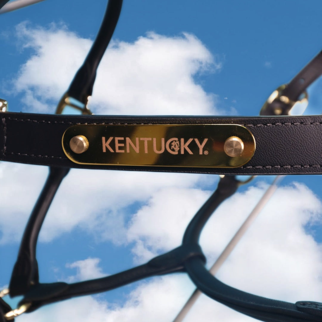 KENTUCKY Anatomisch Leder Halfter