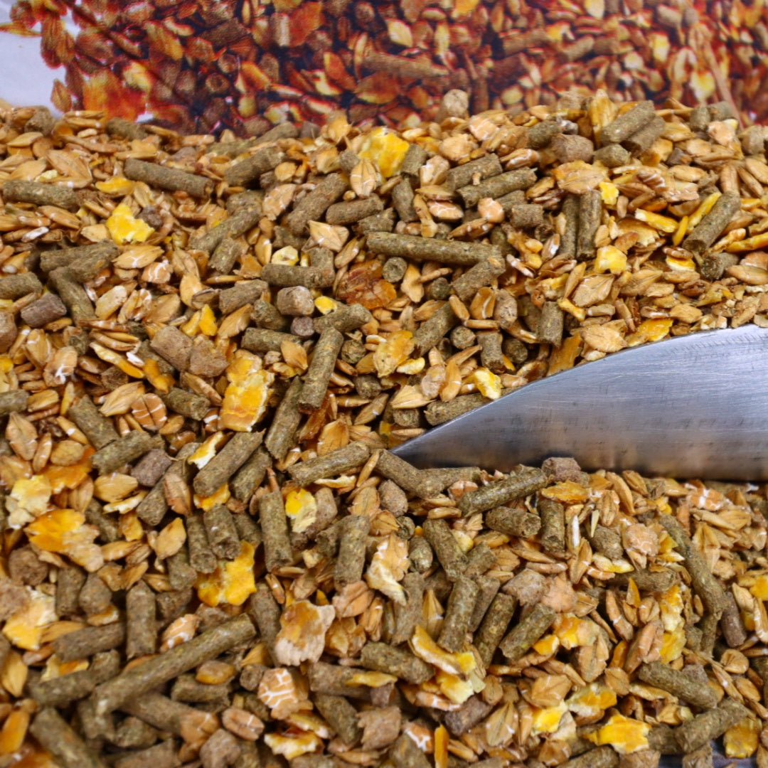 DERBY Müsli Mix - für eine ausgewogene Pferdeernährung