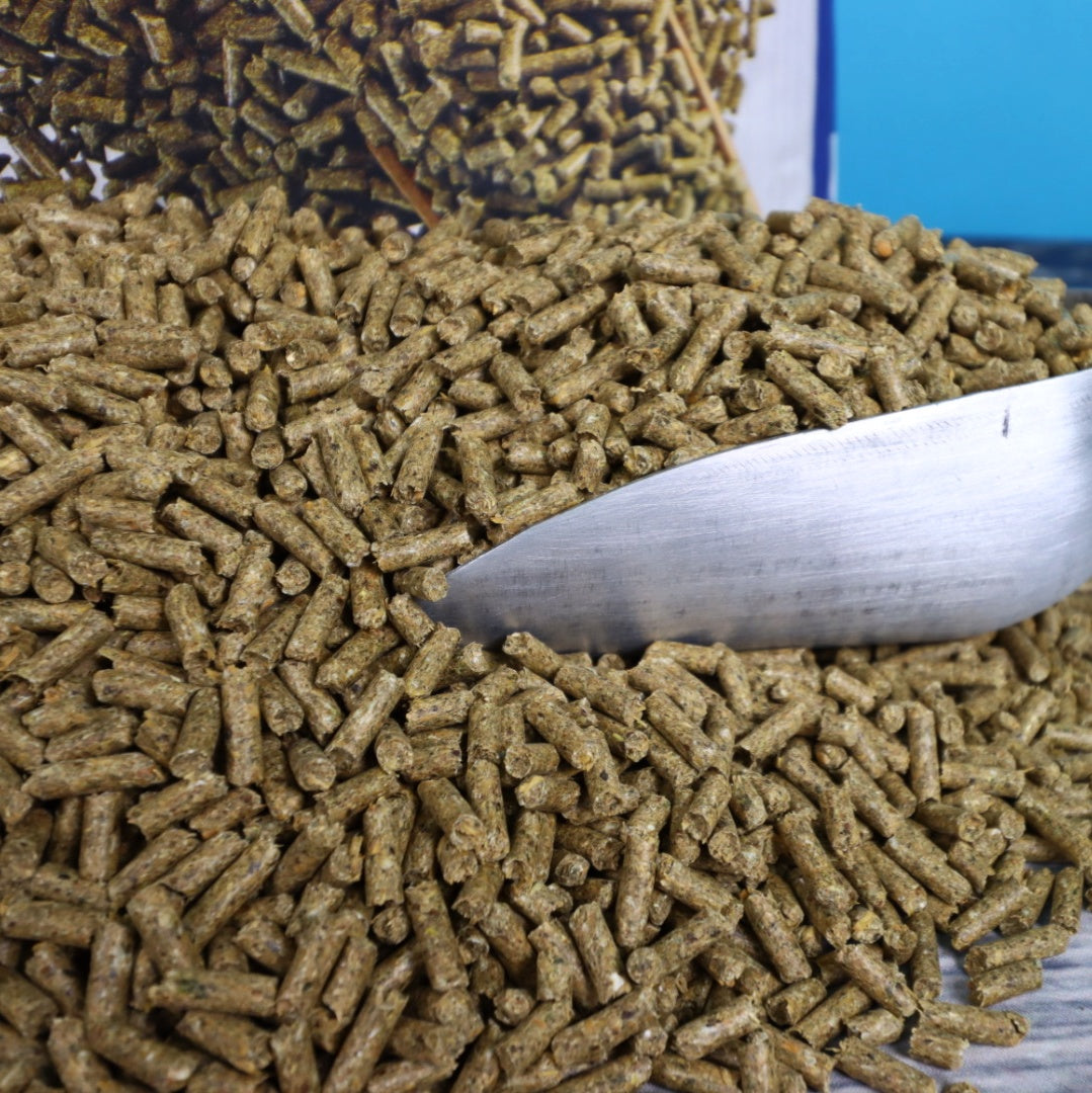 DERBY Standard Pellets - für normal beanspruchte Ponys