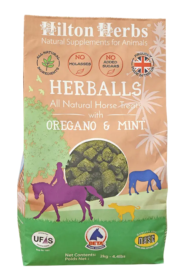 Hilton Herbs - Herballs Oregano & Minze (Leckerlie) melassefrei