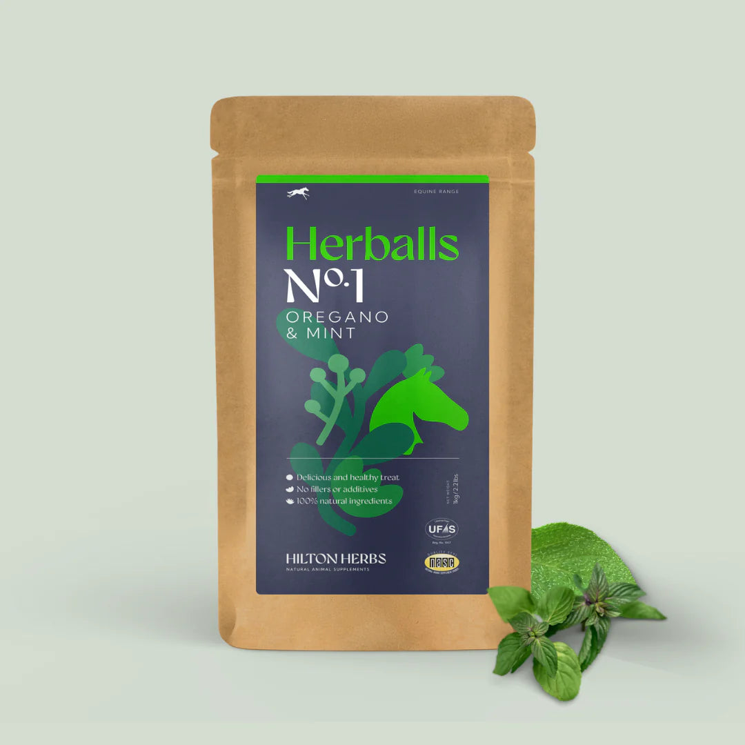 Hilton Herbs - Herballs Oregano & Minze (Leckerlie) melassefrei