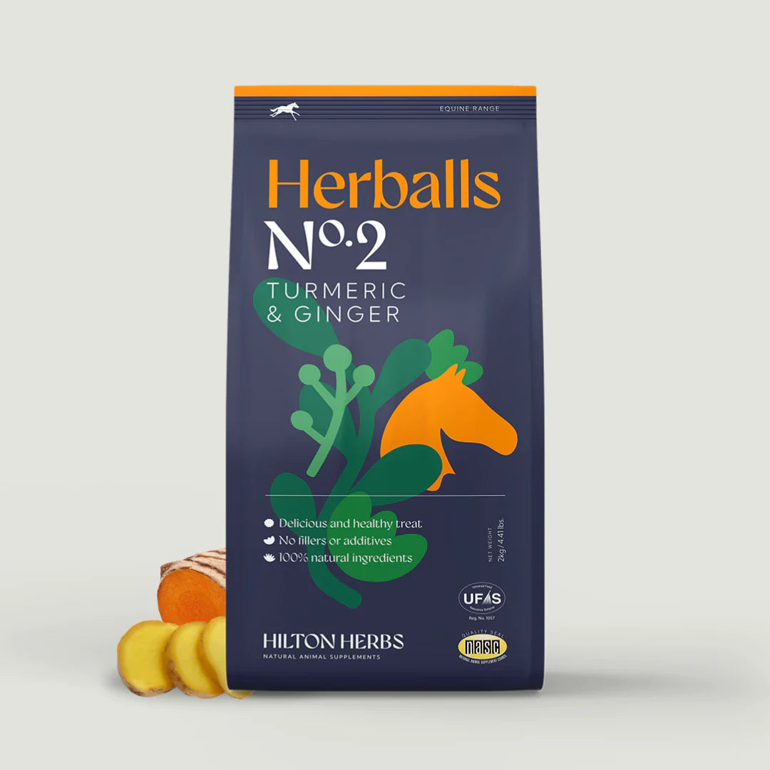 Hilton Herbs Herballs Turmeric&Ginger - Natürliche Leckerlis