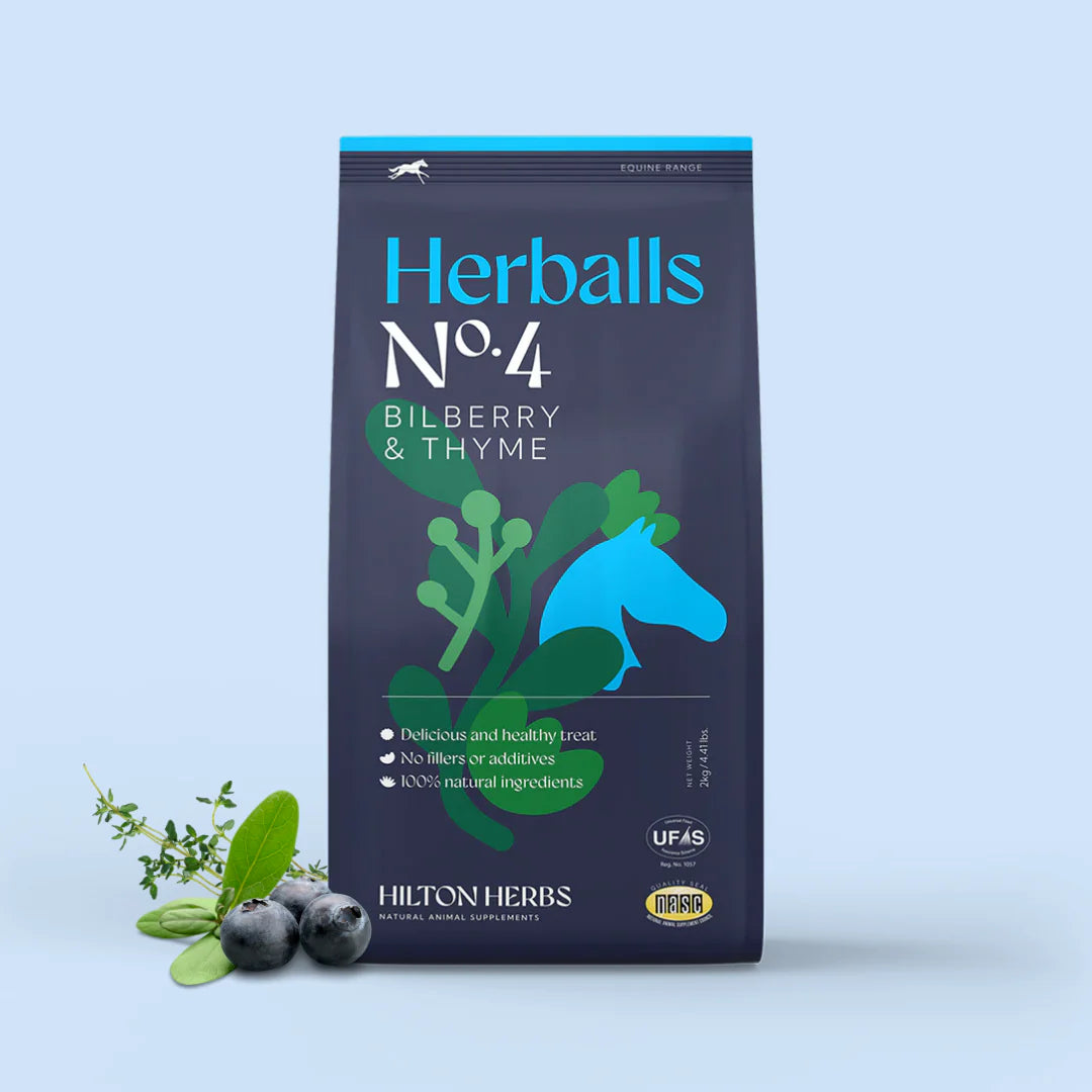 Hilton Herbs Herballs Bilberry&Thyme - Natürliche Leckerlis