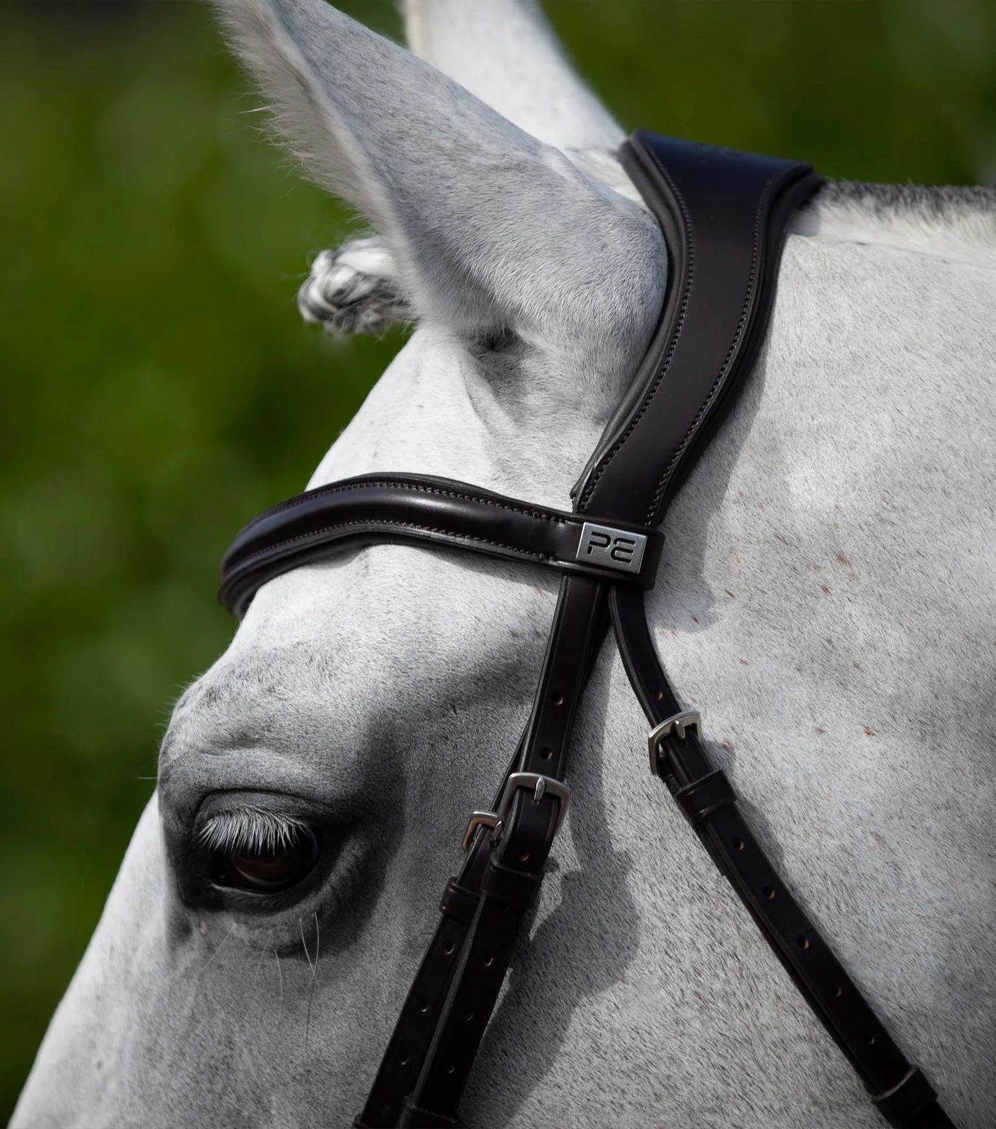 Premier Equine - Rizzo Anatomic Bridle mit Flash