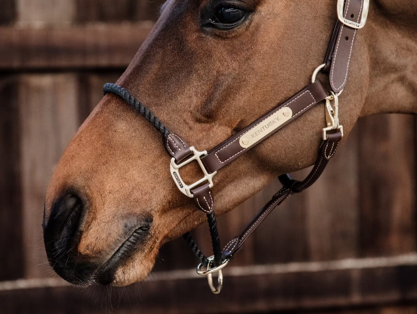 KENTUCKY Leder Halfter Rope