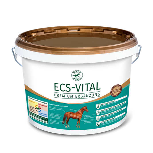 ATCOM - ECS Vital