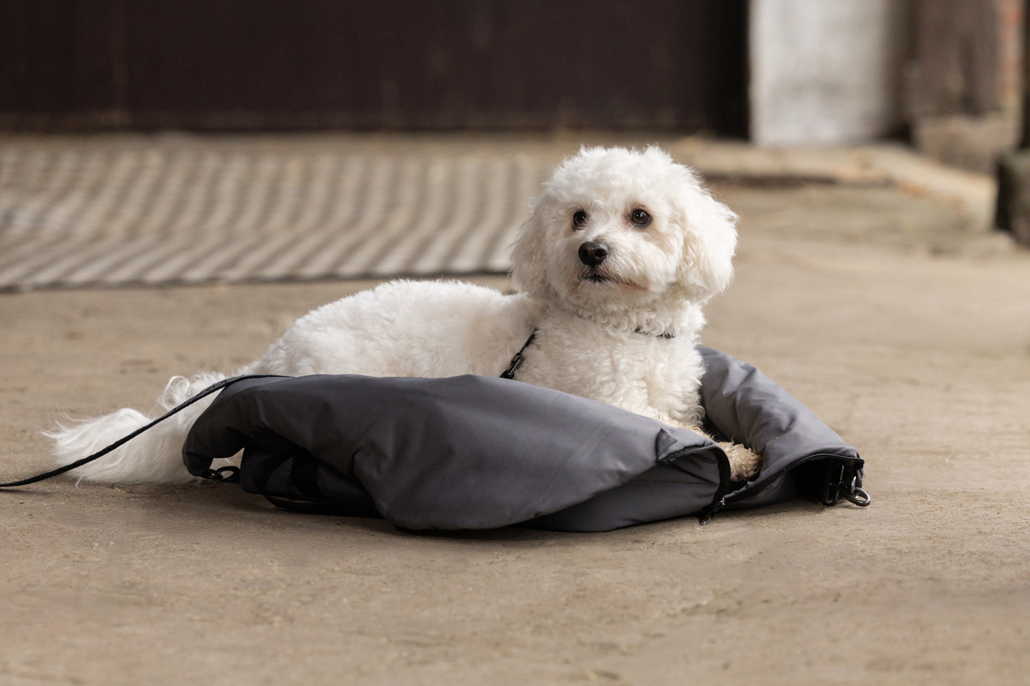 Kingsland - KLMacey Dog Blanket Bag 2025