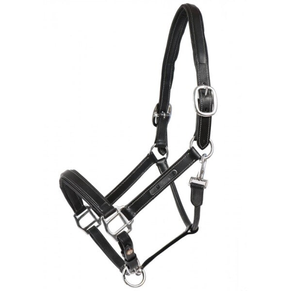 Hans Melzer Halfter Stuttgart - schwarz/silber