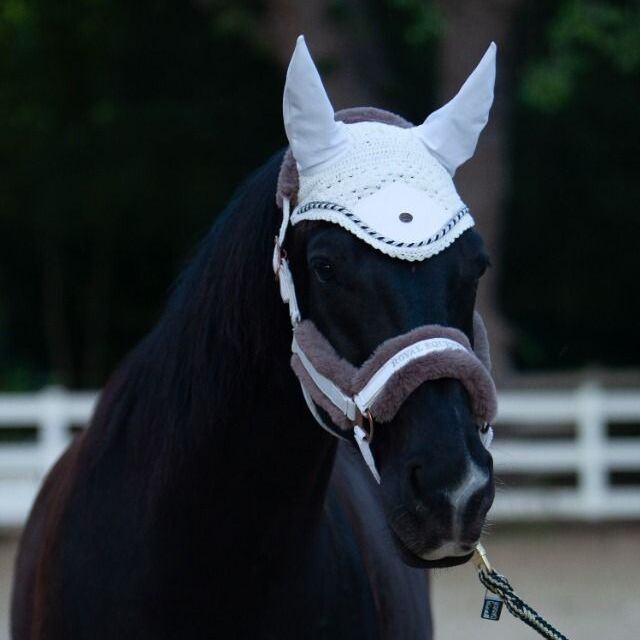 ROYAL EQUESTRIAN PREMIUM EAR BONNET
