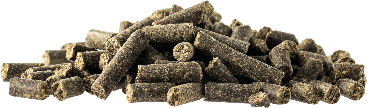 Josera Help Aminobalancer - Aminosäuren- & Mineralergänzung für eine geschmeidige Muskulatur