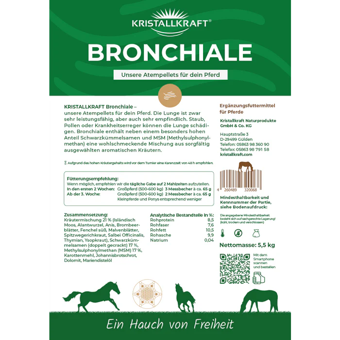 Kristallkraft Bronchiale - Atemwegskur