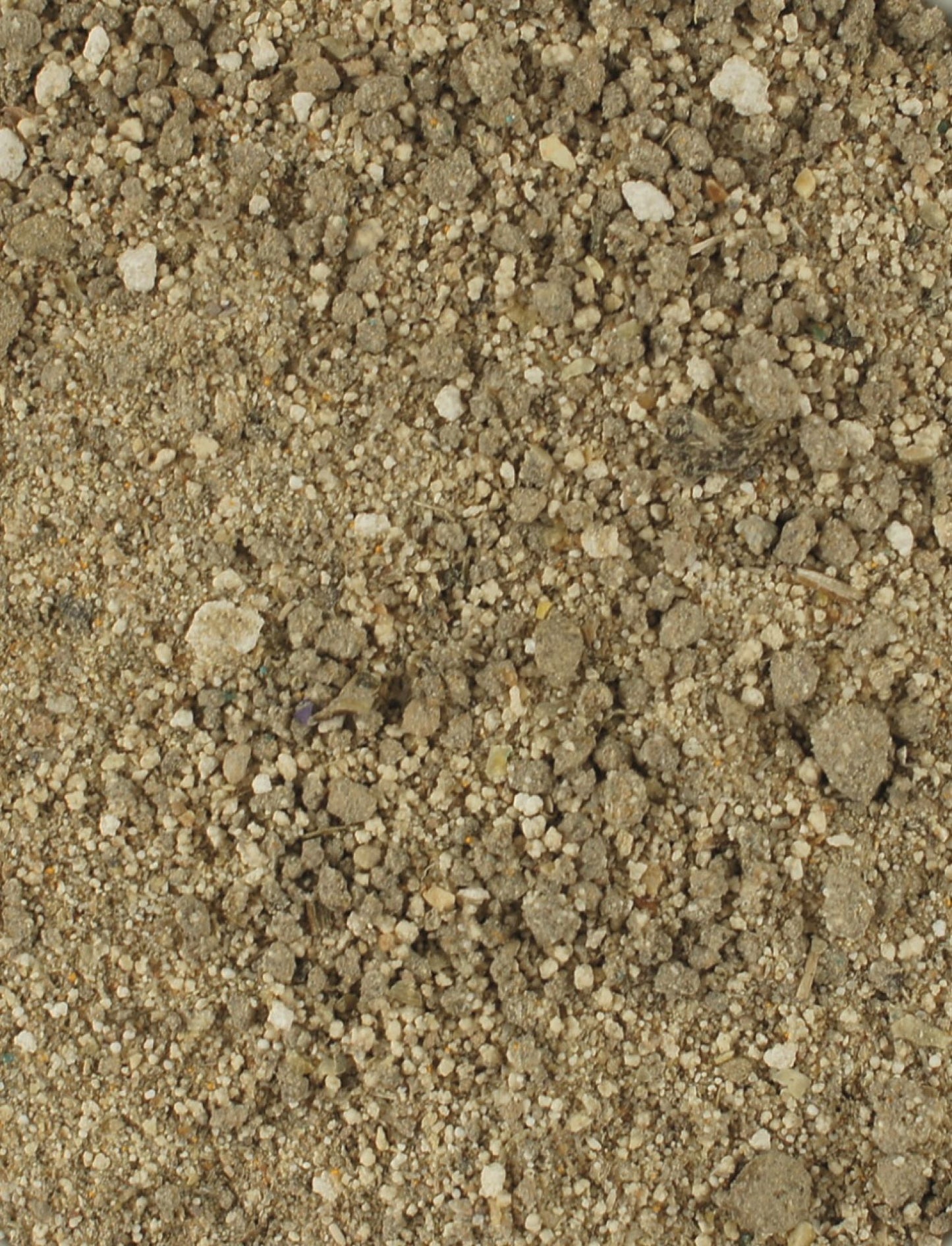 ATCOM - Sanabol - Das Extra-Plus für starke Muskulatur, Losgelassenheit und Hochleistung