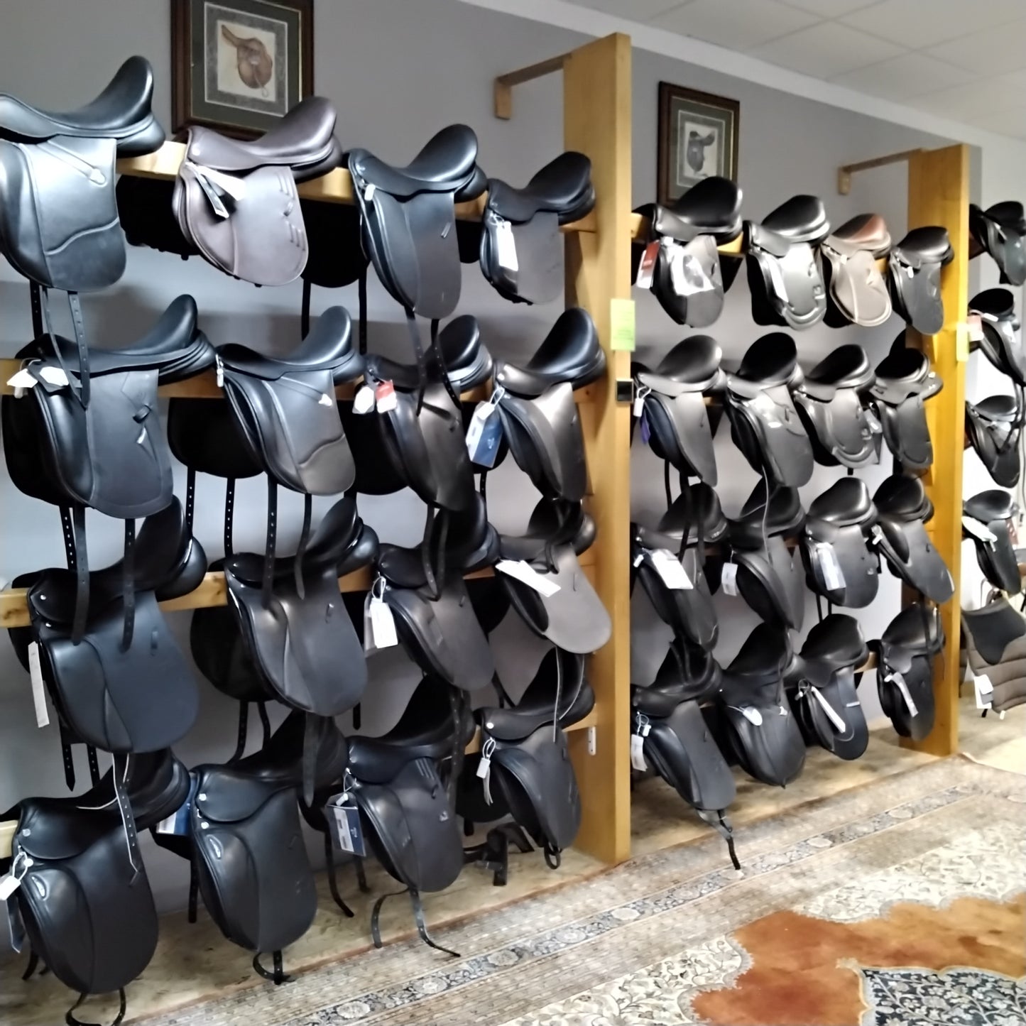 Passier SIRIUS Dressursattel PS-Sattelbaum mit frt-system tiefer Sitz, V-Begurtung