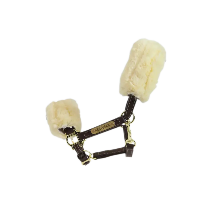 KENTUCKY Leder Halfter mit Fell - Braun