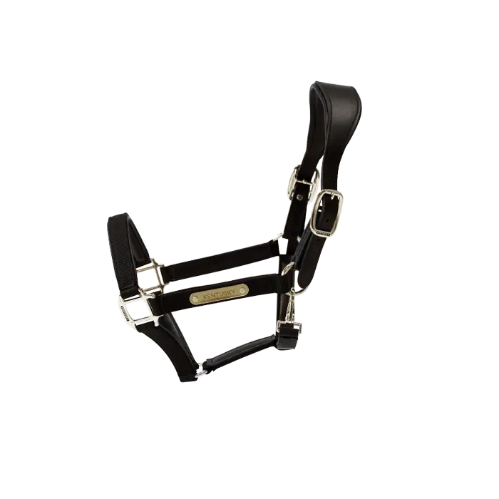 KENTUCKY Anatomic Nylon Halfter - Schwarz