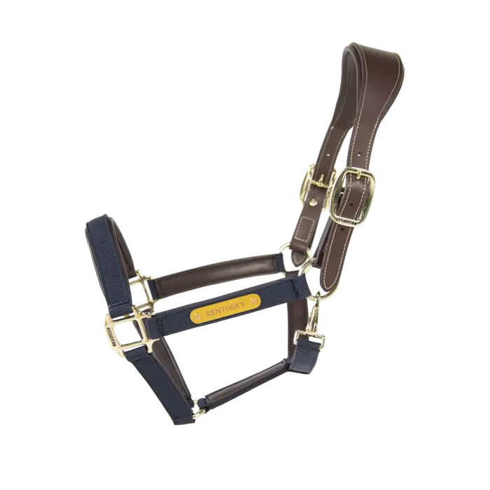 KENTUCKY Anatomic Nylon Halfter - Navy