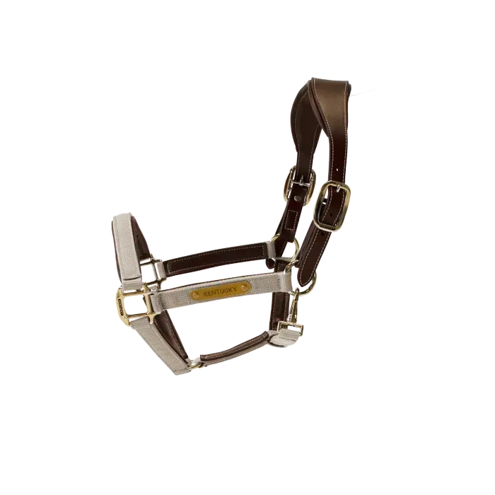 KENTUCKY Anatomic Nylon Haflter - Beige