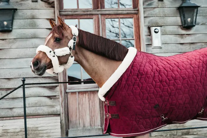 KENTUCKY - Turnierdecke Velvet - Bodeaux