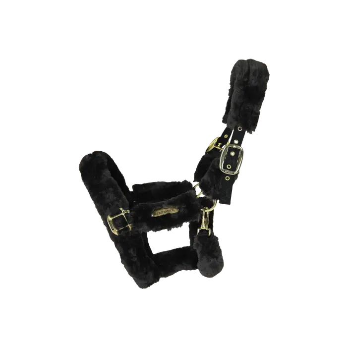 KENTUCKY Lamfell Transport Halfter - Schwarz