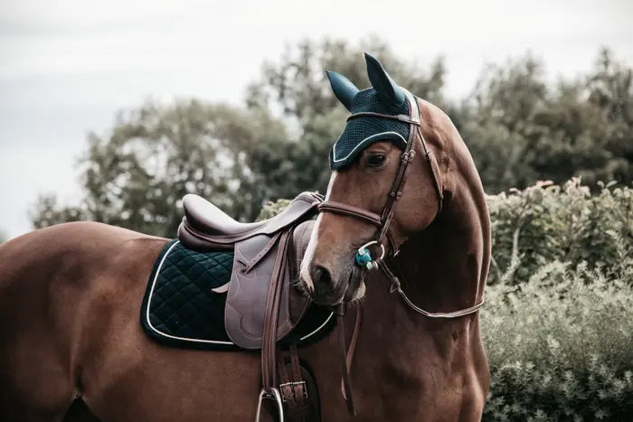 KENTUCKY - Fliegenhaube Wellington Corduroy