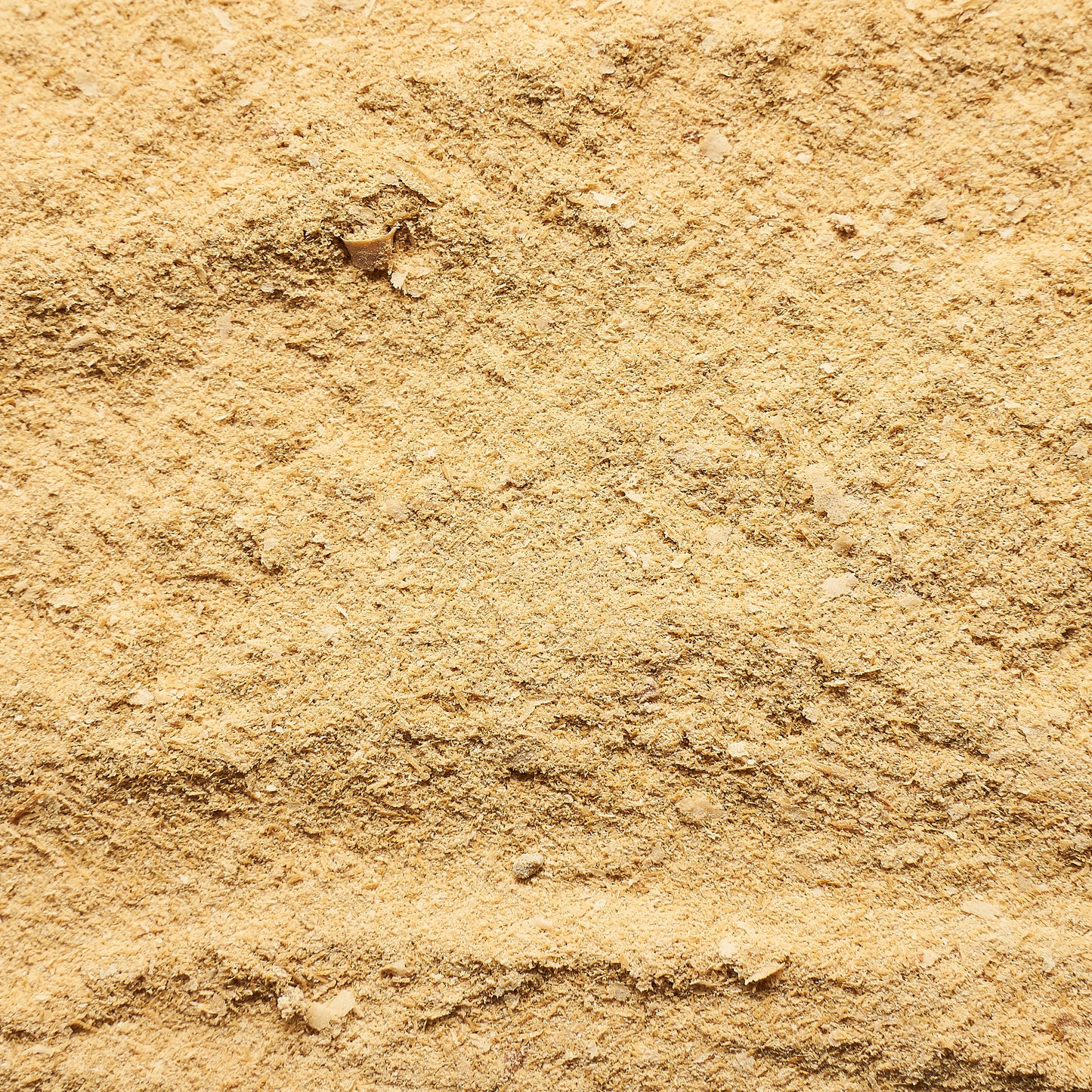 Bierhefe - Eiweißreich mit Vitaminen- und Mineralstoffen für Verdauung, Haut, Fell, Hufe