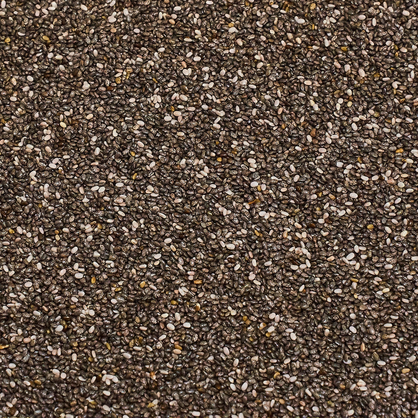 Chia Samen ist reich an Magnesium und empfohlen zur Regulierung der Verdauung