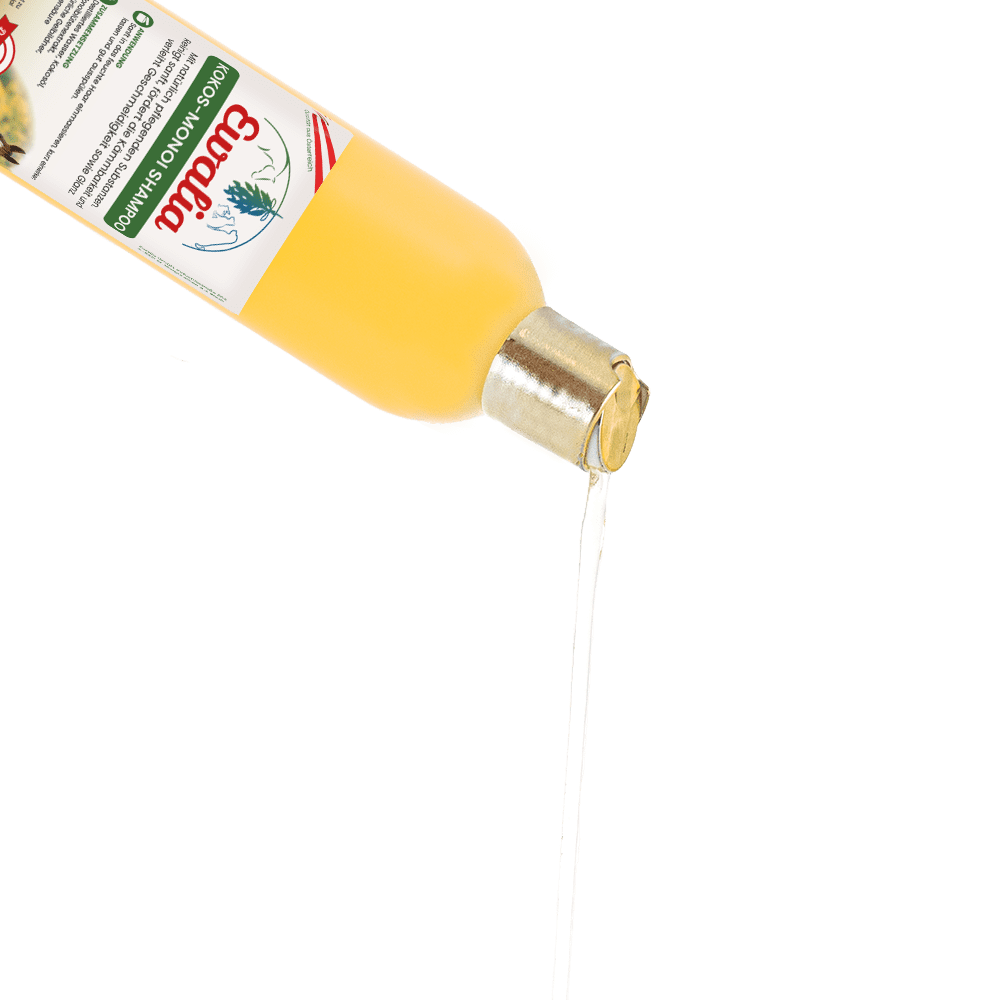 Ewalia Kokos-Monoi Shampoo - die sanfte Haarpflege