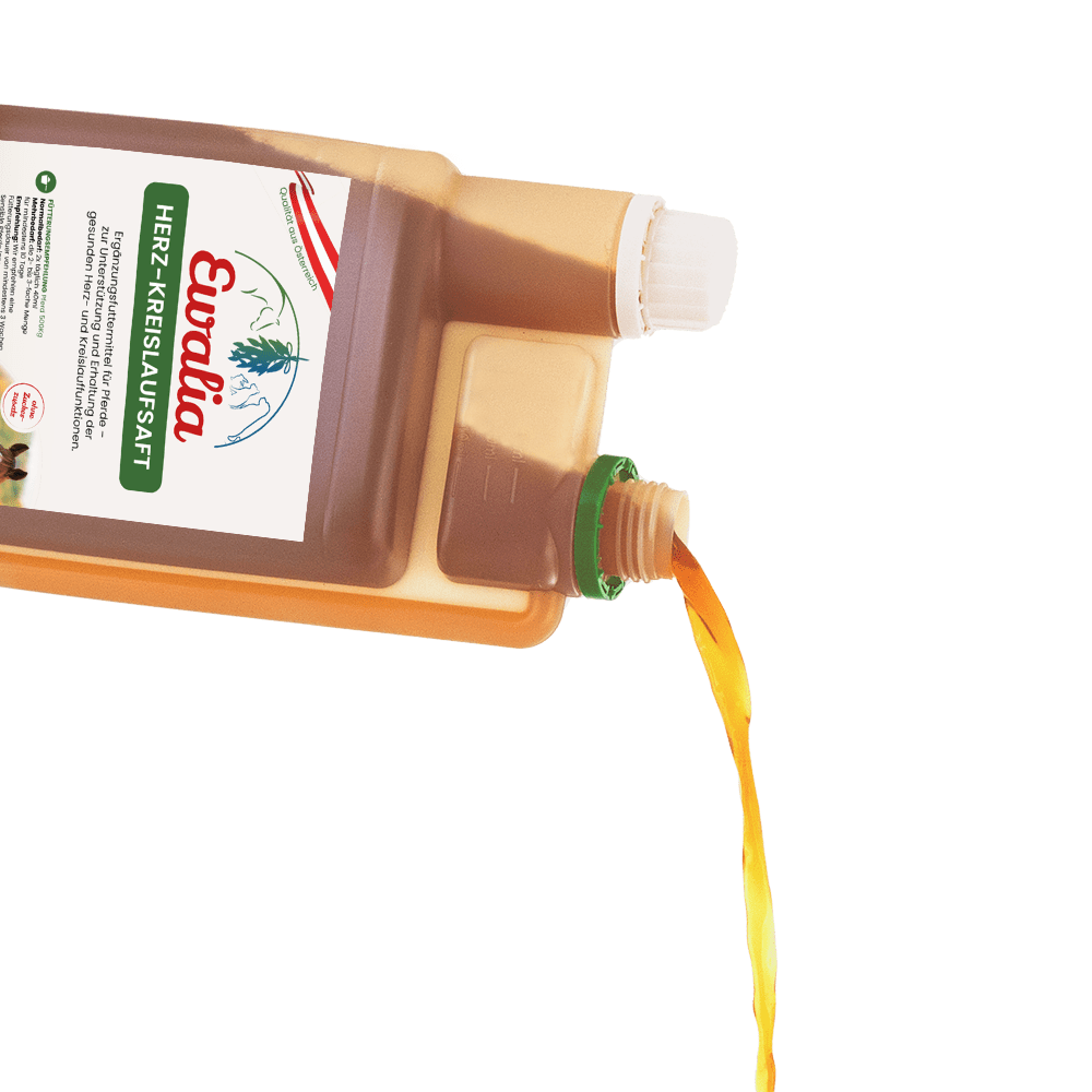 Ewalia - Herzkreislaufsaft - Bringt Herzensangelegenheiten wieder in Schwung