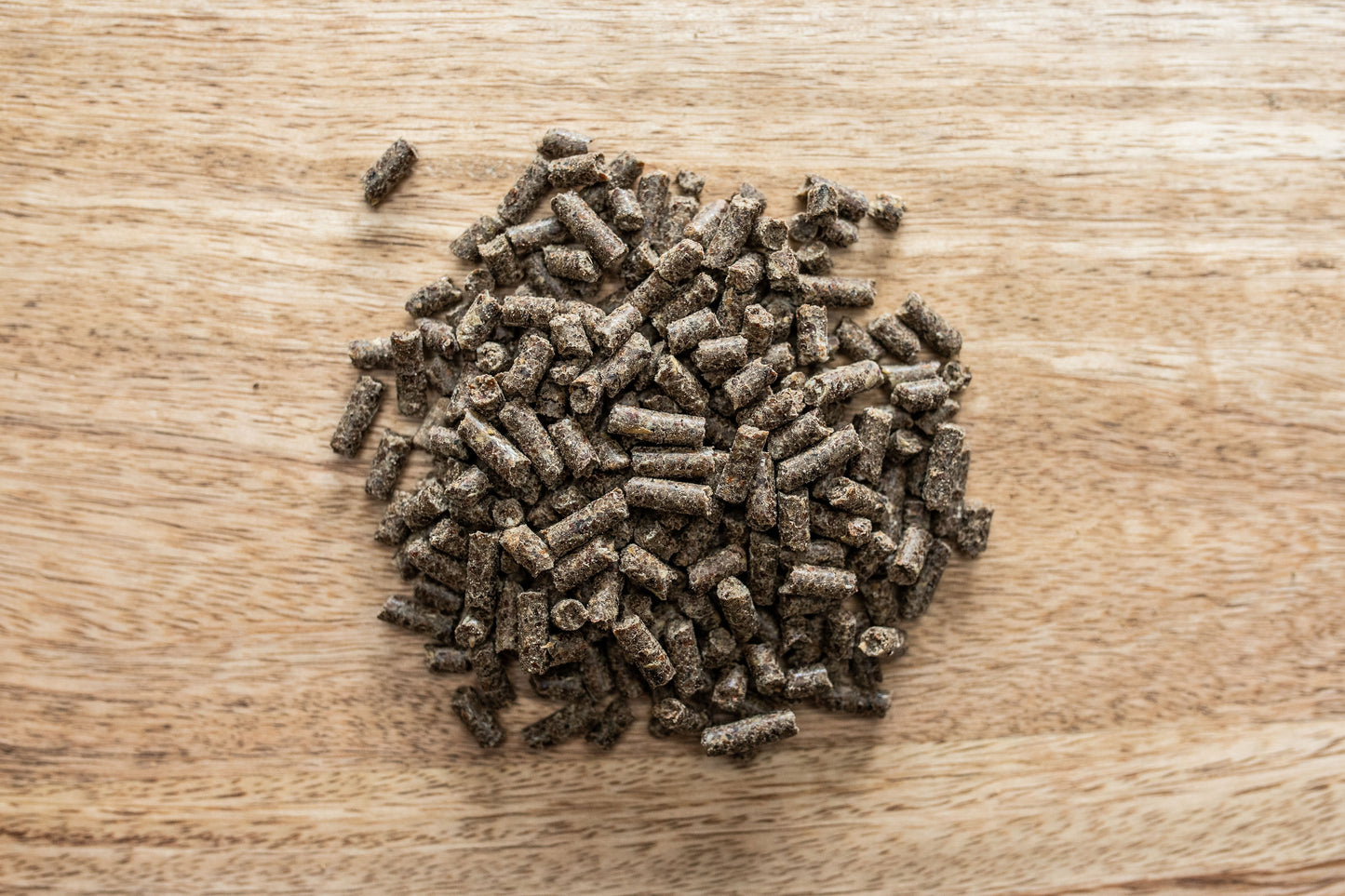 St. Hippolyt Hippomun