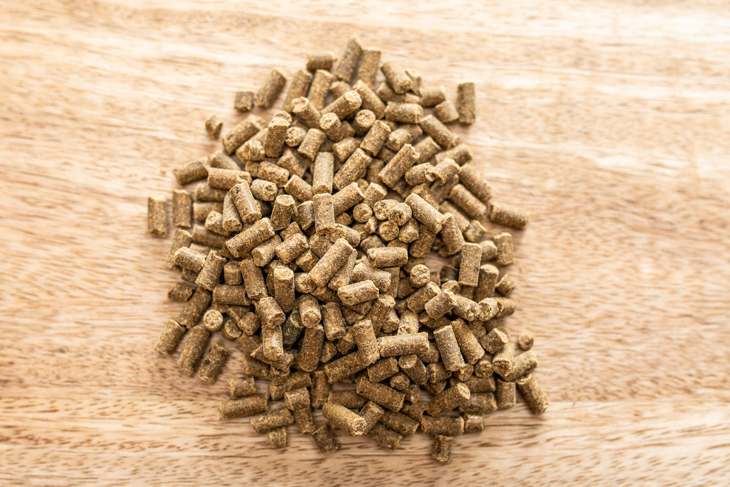 St. Hippolyt Magnesium B12