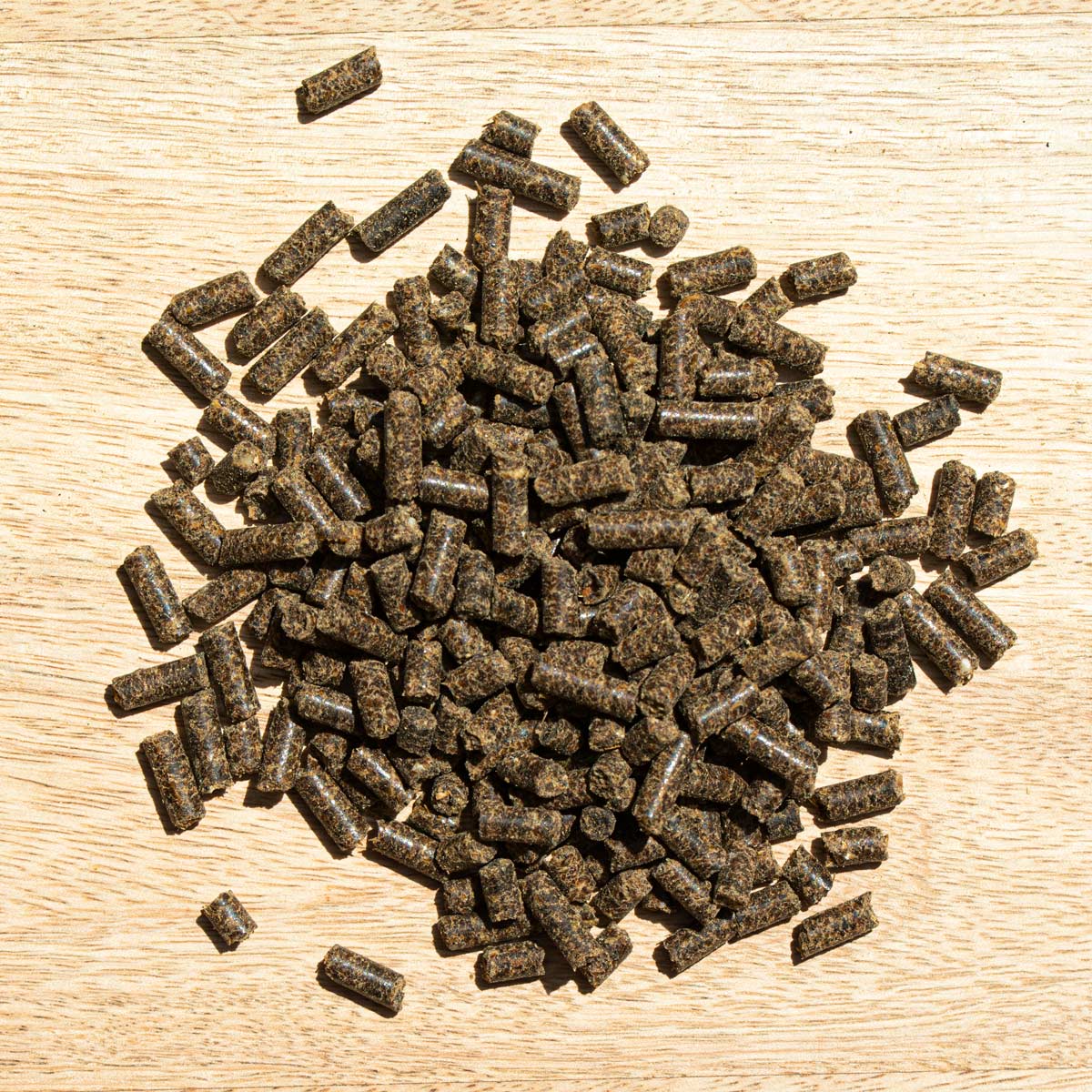 St. Hippolyt Hesta Plus Eisen