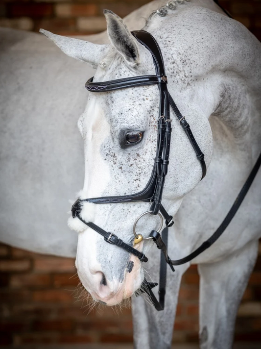 LeMieux - Mexikanisches Reithalfter - LM Grackle Bridle